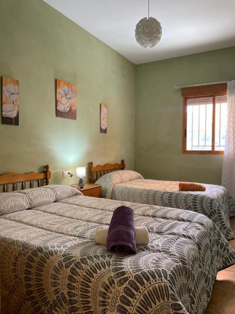 Casa Rural Puente Del Segura Елче де ла Сиера Екстериор снимка