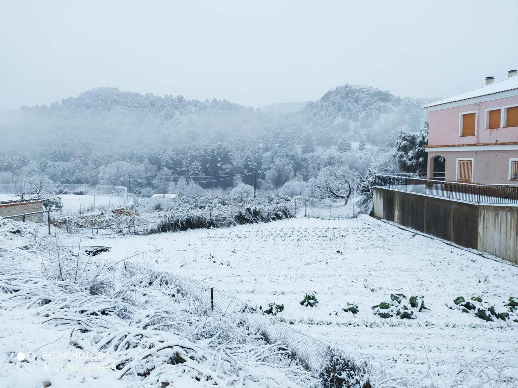 Casa Rural Puente Del Segura Елче де ла Сиера Екстериор снимка